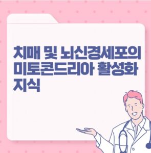 치매 및 뇌신경세포의 미토콘드리아 활성화 지식 포스팅 썸네일 이미지